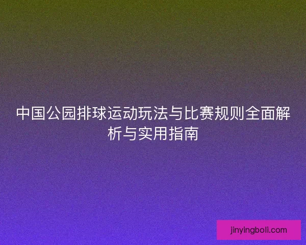 中国公园排球运动玩法与比赛规则全面解析与实用指南