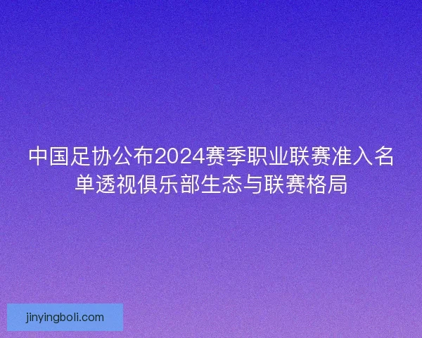 中国足协公布2024赛季职业联赛准入名单透视俱乐部生态与联赛格局